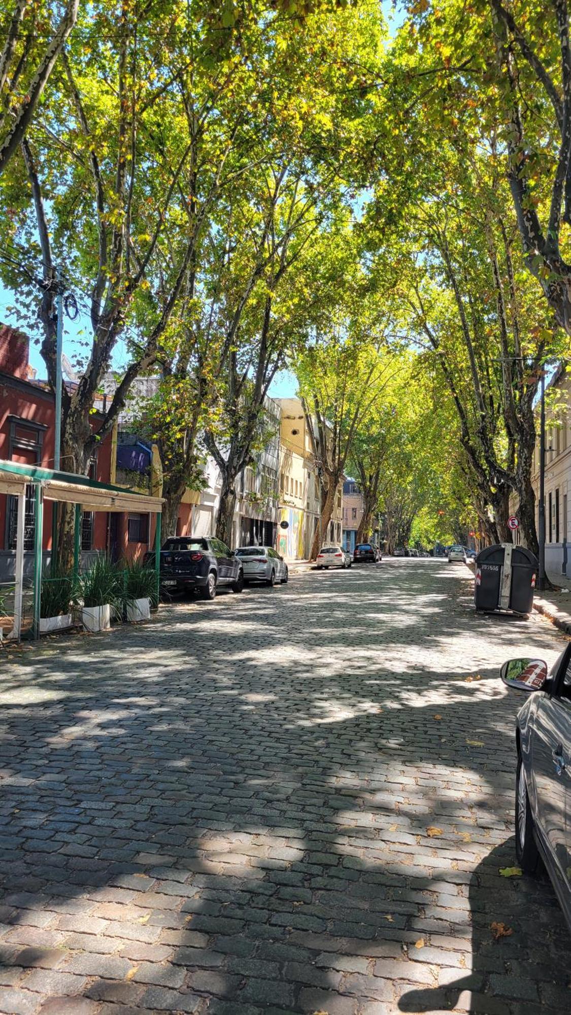 Krista Boutique Hotel Buenos Aires Ngoại thất bức ảnh